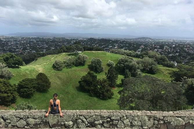 Shore Excursion: Half-Day Auckland Volcanoes Tour - Starting at Achilles Point for harbour views