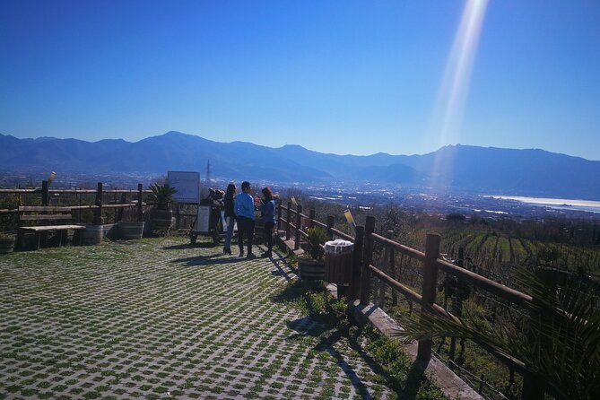 Shore excursion Vesuvius and Pompeii site. - Why this pairing works from Naples
