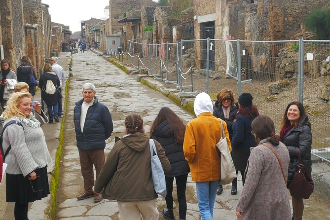 Shore excursion Vesuvius and Pompeii site. - A private ride with helpful extras