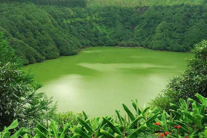 Shore Excursions to the volcano and crater of Lagoa das Sete Cidades - Lagoa do Canário: A Crater Within the Route
