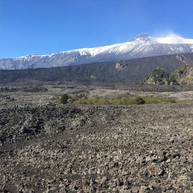 Sicily: Etna Volcano & Taormina Tour - Who should book this Etna and Taormina tour?