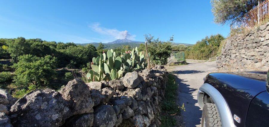 Sicily: Mount Etna 4x4 Jeep Tour with Lava Caves & Forests - Piano Provenzana and the scars of 2002