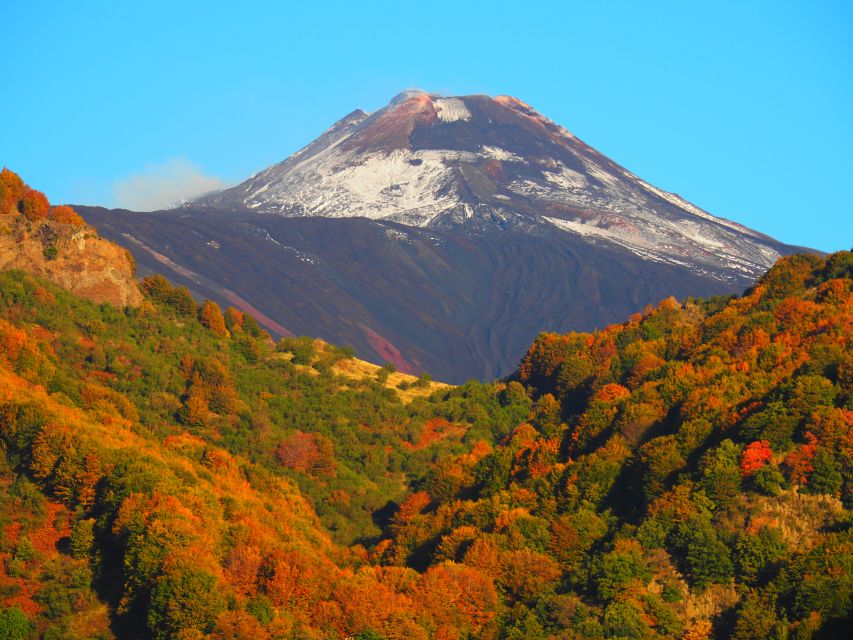 Sicily: Mount Etna's North Slope Craters Guided Hike Tour - Crossing lava near the side craters