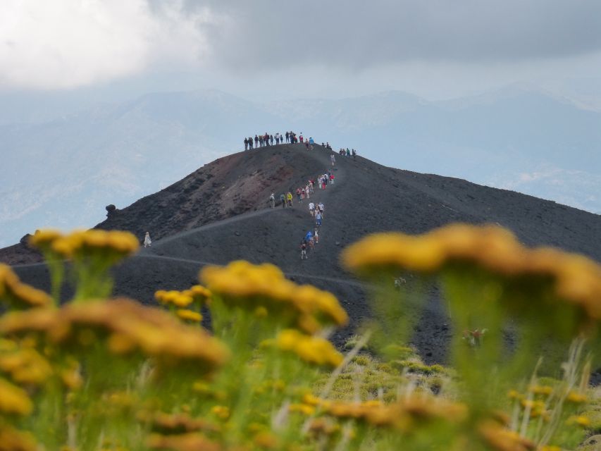 Sicily: Mount Etna's North Slope Craters Guided Hike Tour - Beech trees lead toward the 2002 eruption zone