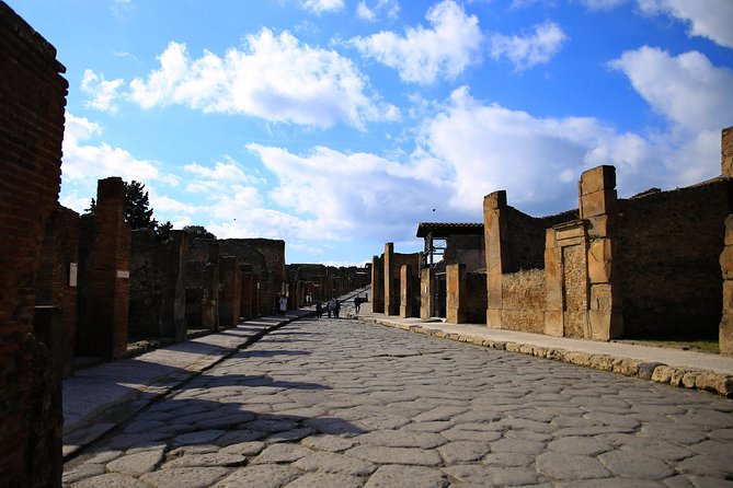 Skip-the-Line Exclusive Private Ancient Pompeii & Vesuvius Volcano Full Day Tour - What the private guide adds