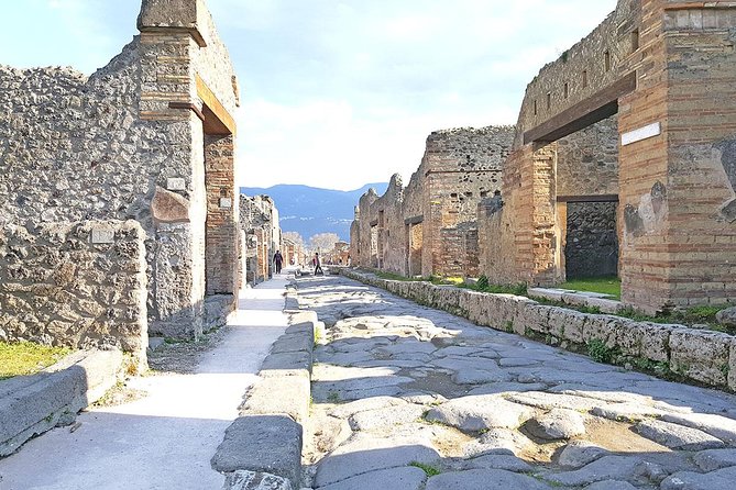 Skip-the-Line Pompeii & Volcano Vesuvius Day Tour w Hotel or Port Pickup - Who will enjoy this day most?