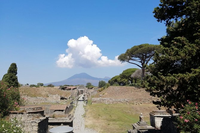 Skip-the-Line Pompeii & Volcano Vesuvius Day Tour w Hotel or Port Pickup - What makes Vesuvius different from Pompeii