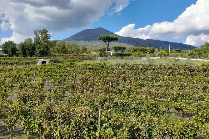 Skip-The-Line Tickets VIP Small Group Tour To Pompei and Vesuvius - Should you book it?