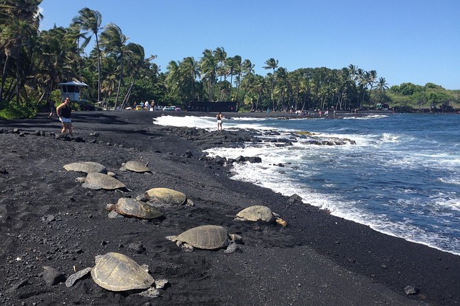 Small-Group Big Island Tour: Hawaii Volcanoes National Park and Kona Coffee Farm - Coffee in the cool Kona uplands