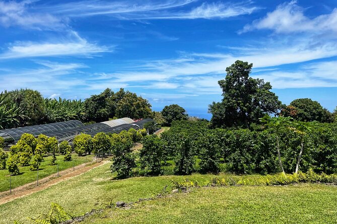Small-Group Big Island Tour: Hawaii Volcanoes National Park and Kona Coffee Farm - Entering Hawaiʻi Volcanoes National Park
