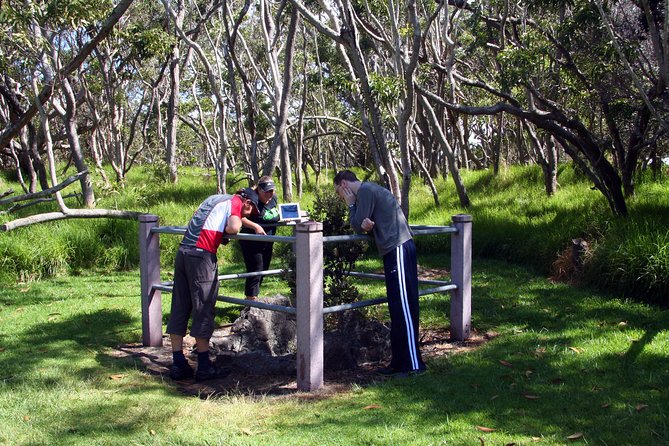 Small-Group Big Island Tour: Hawaii Volcanoes National Park and Kona Coffee Farm - What the $209 price really buys you