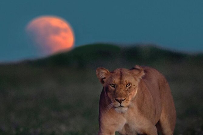 Small Group Serengeti and Ngorongoro Crater Adventure Safari - What the $790 price includes