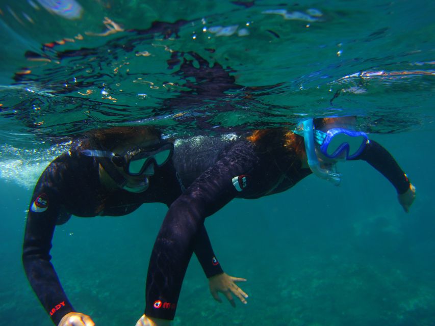 Snorkeling in a Volcanic Bay - Key Points Before You Book