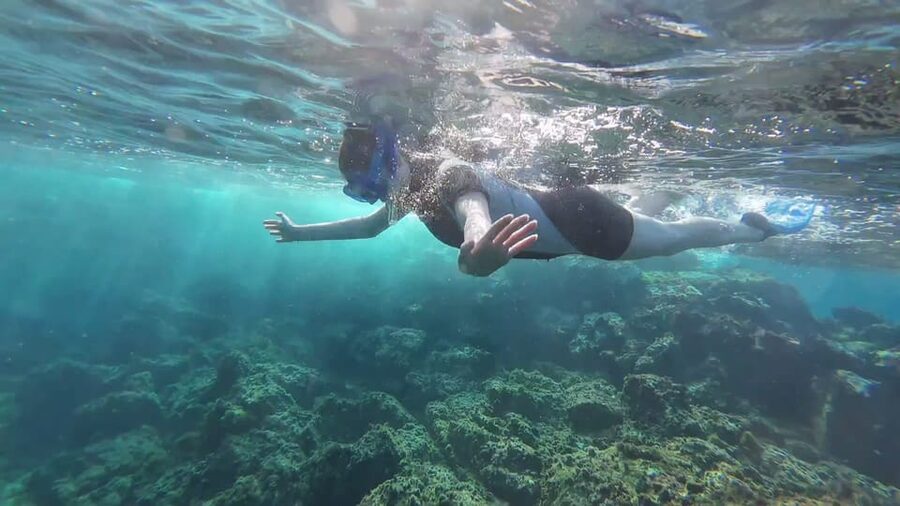 Snorkeling in a Volcanic Bay - Starting at Marina del Sur in Puerto de Las Galletas