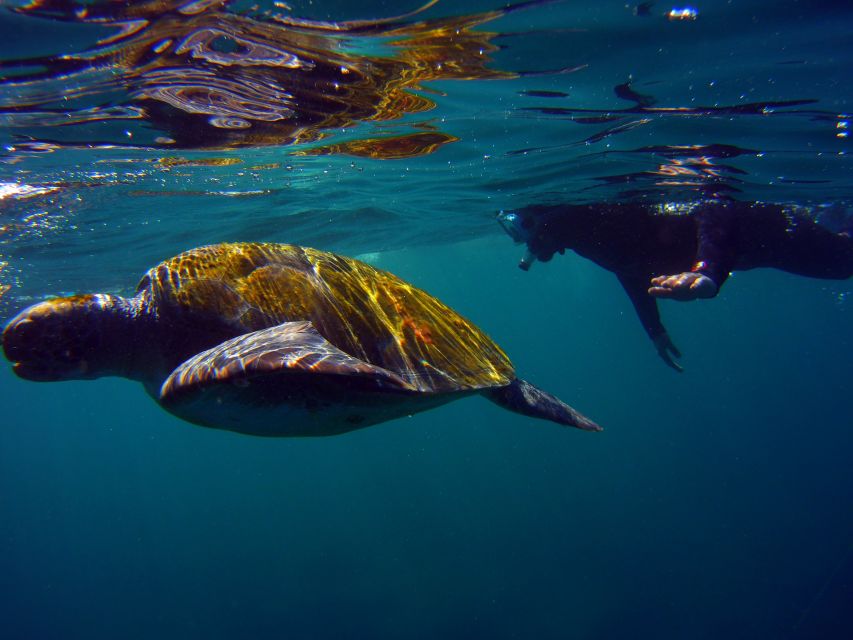 Snorkeling in a Volcanic Bay - The Fifteen-Minute Boat Ride to the Bay