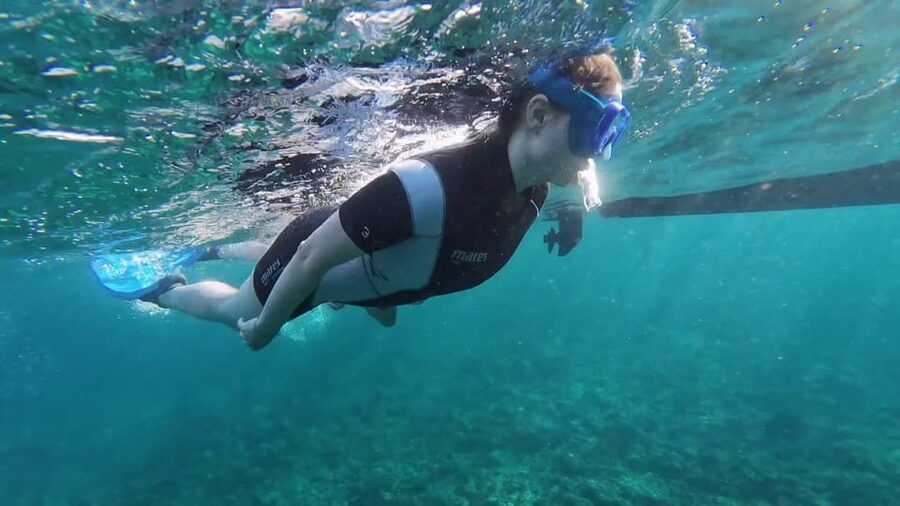 Snorkeling in a Volcanic Bay - One Hour Among Tenerife’s Volcanic Rocks
