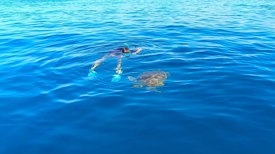 Snorkeling in a Volcanic Bay - Is $69 a Good Deal?