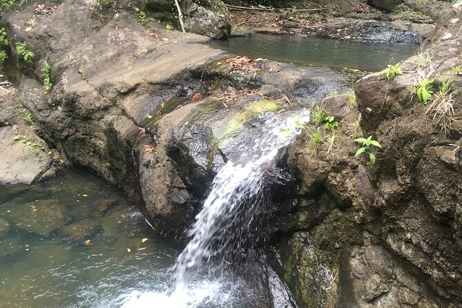 Soufriere Volcano Experience - City-center views before the countryside