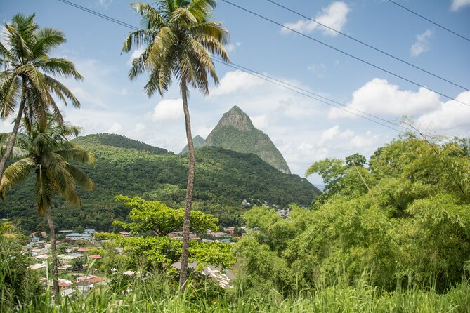 Soufriere Volcano Experience - Lunch, drinks, and the value of the $135 price