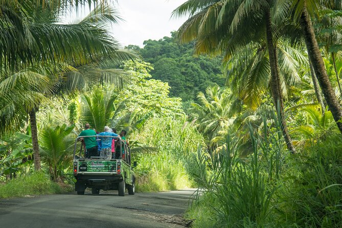 Soufriere Volcano Experience - The return by road or sail