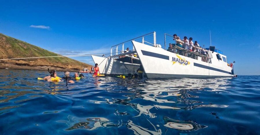 South Maui: Snorkel to Coral Gardens or Molokini Crater - Maalaea Harbor makes the afternoon easy
