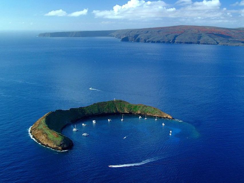 South Maui: Snorkel to Coral Gardens or Molokini Crater - Coral Gardens is a practical backup, with its own strengths