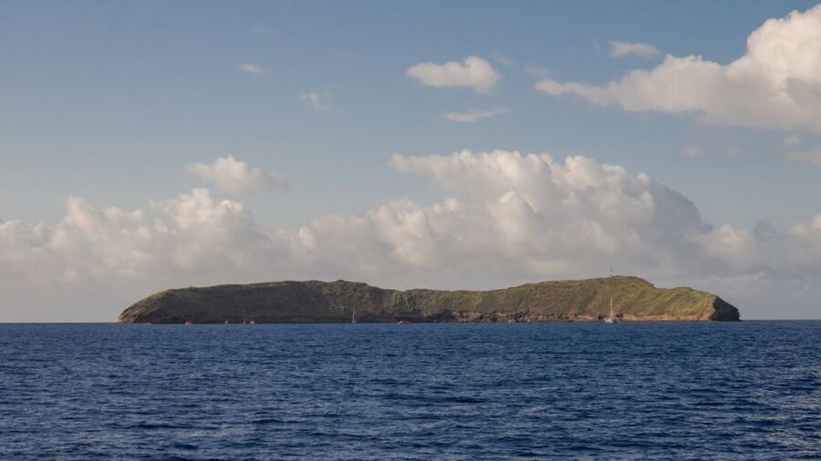 South Maui: Snorkel to Coral Gardens or Molokini Crater - Lunch, drinks, and the $89 value