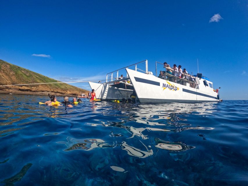 South Maui: Snorkel to Coral Gardens or Molokini Crater - Who will enjoy this Maui snorkel cruise?