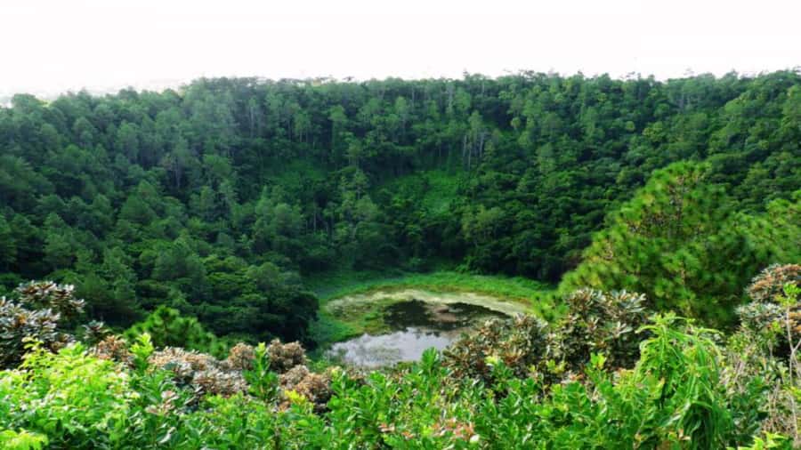 Southern Mauritius: Volcanoes & Coloured Earth - Black River Gorges: forest views in a short stop