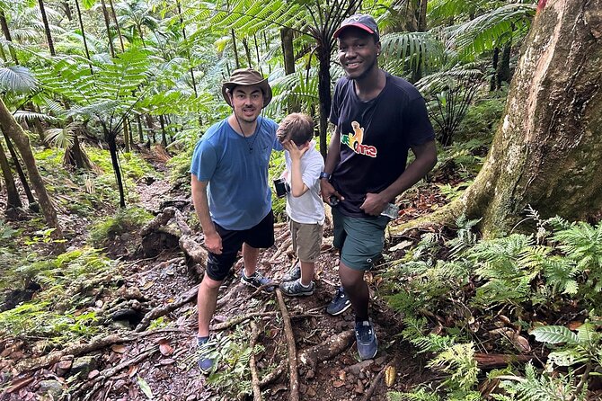 St.Kitts Volcano Hike To Mt. Liamuiga (Highest Peak On Island) - Transport and cruise-day timing