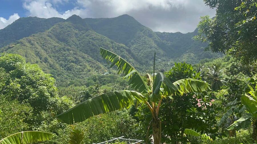 St. Lucia: Safi Estate, Volcano Waterfalls Experience - Four details that make Safi Estate different