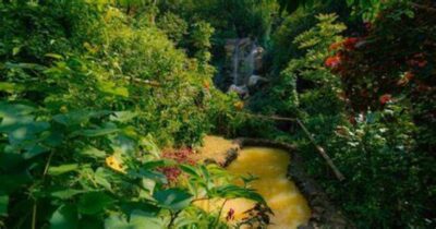 St. Lucia: Safi Estate, Volcano Waterfalls Experience