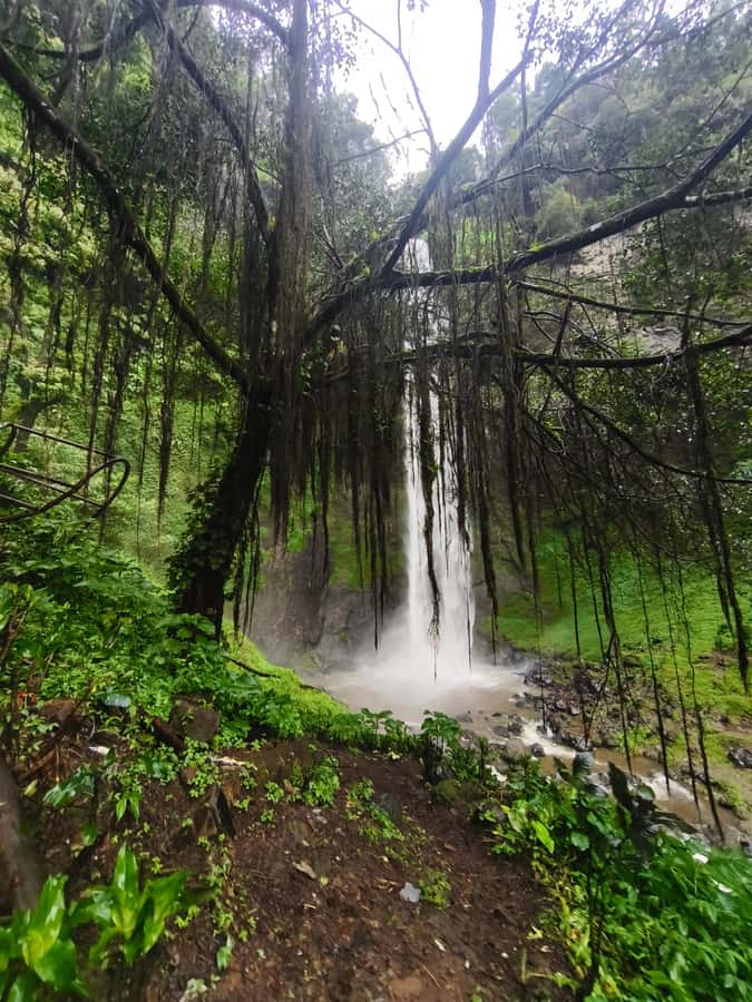 Start 10am Bandung Group Tour Volcano, Waterfalls, Hotspring - Physical comfort and what to pack