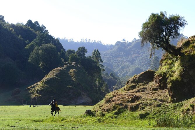 Stunning Views Wonchi Crater Lake a Private Day Trip - The long road from Addis Ababa to Woliso