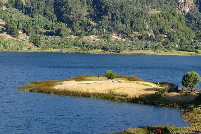 Stunning Views Wonchi Crater Lake a Private Day Trip - Coffee and countryside in Woliso