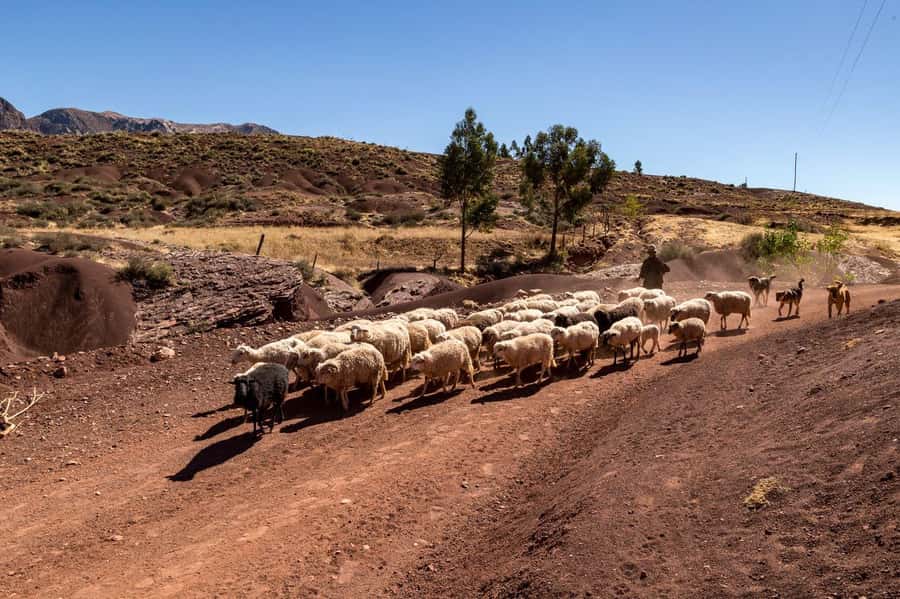 Sucre: 2 days trek in Inca Trails and the Crater de Maragua - Leaving Sucre by public bus at 8:00