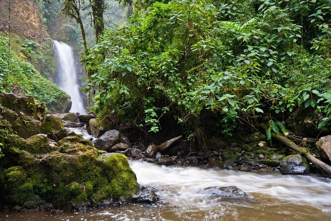 Super Combo Tour: Waterfalls Gardens + Coffee Tour + Poás Volcano - Three Costa Rican icons before dinner