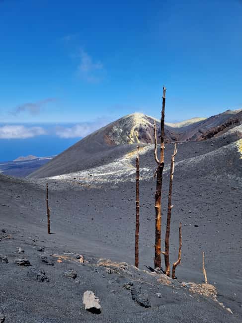 Tajogaite Volcano: the official route with a certified local guide - Llano del Jable and the first big view