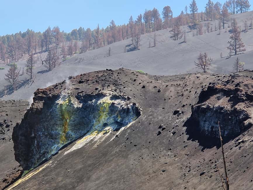 Tajogaite Volcano: the official route with a certified local guide - Reaching Las Manchas, where the story becomes personal