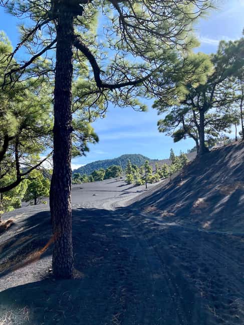 Tajogaite Volcano: the official route with a certified local guide - Is $42 good value?