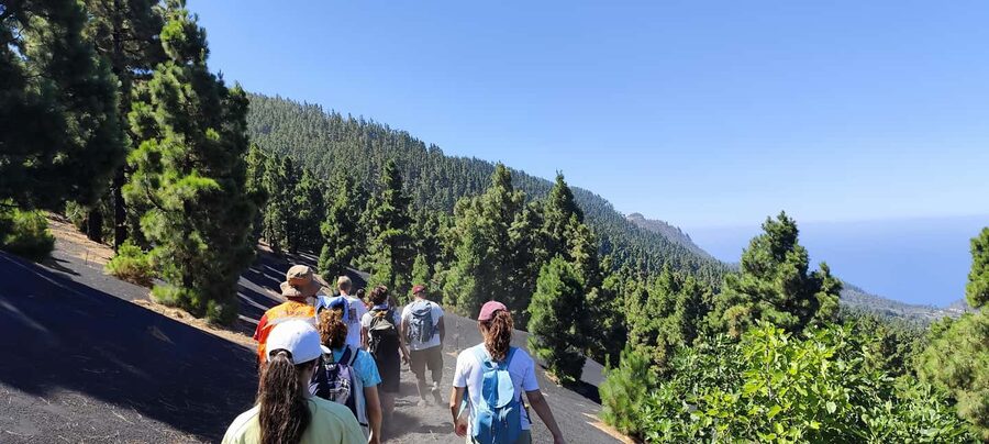 Tajogaite Volcano VIP Experience: Private Tour with a Certified Guide - A 7 km descent across fresh volcanic ash