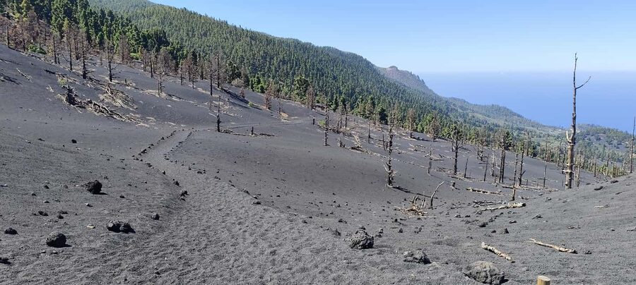 Tajogaite Volcano VIP Experience: Private Tour with a Certified Guide - Choose geology, local stories, or the social impact