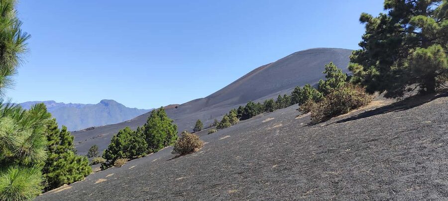 Tajogaite Volcano VIP Experience: Private Tour with a Certified Guide - Finishing in Las Manchas