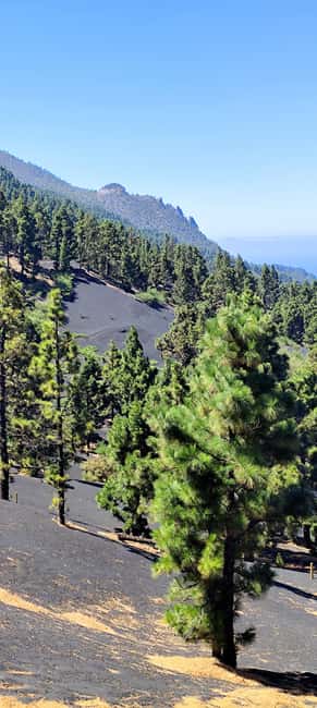 Tajogaite Volcano VIP Experience: Private Tour with a Certified Guide - What to bring for the volcanic route