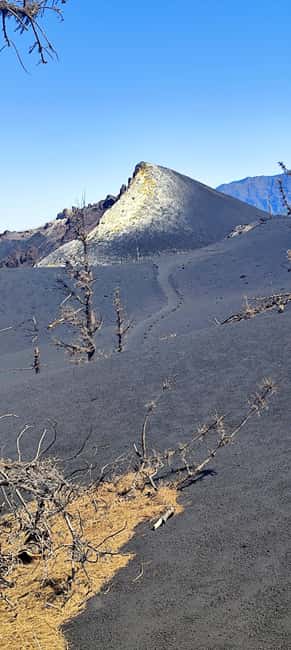 Tajogaite Volcano VIP Experience: Private Tour with a Certified Guide - The private transfer to Llano del Jable
