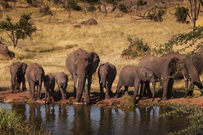 Tanzania Wildlife Safari - Tarangire | Serengeti and Ngorongoro Crater - Starting in Moshi at 7:00 am