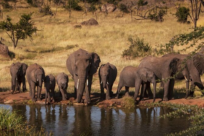Tanzania Wildlife Safari - Tarangire | Serengeti and Ngorongoro Crater - Ngorongoro Crater adds a different setting