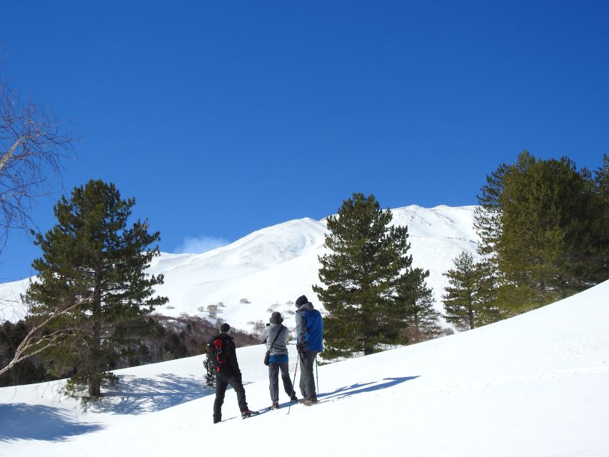 Taormina and Catania: Private Etna Exploration and Cave Tour - Is the private price good value?