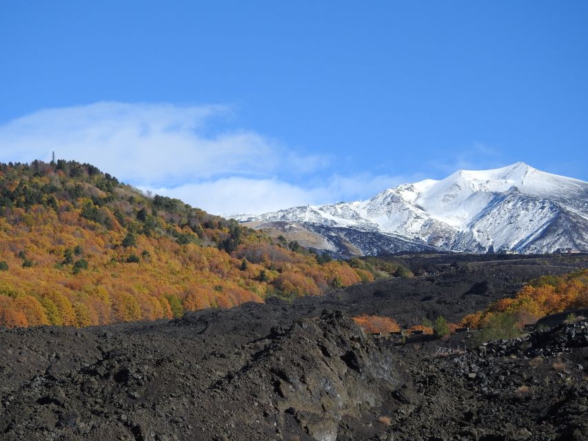 Taormina and Catania: Private guided Etna hike by cable car - Weather, volcanic activity, and route changes