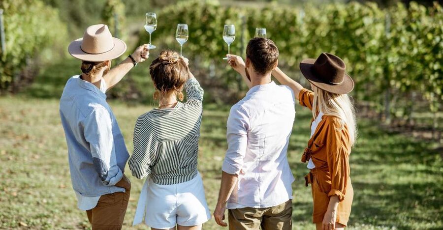 Taormina: Guided Etna Wine Tasting Half-Day Tour - Key points before you book